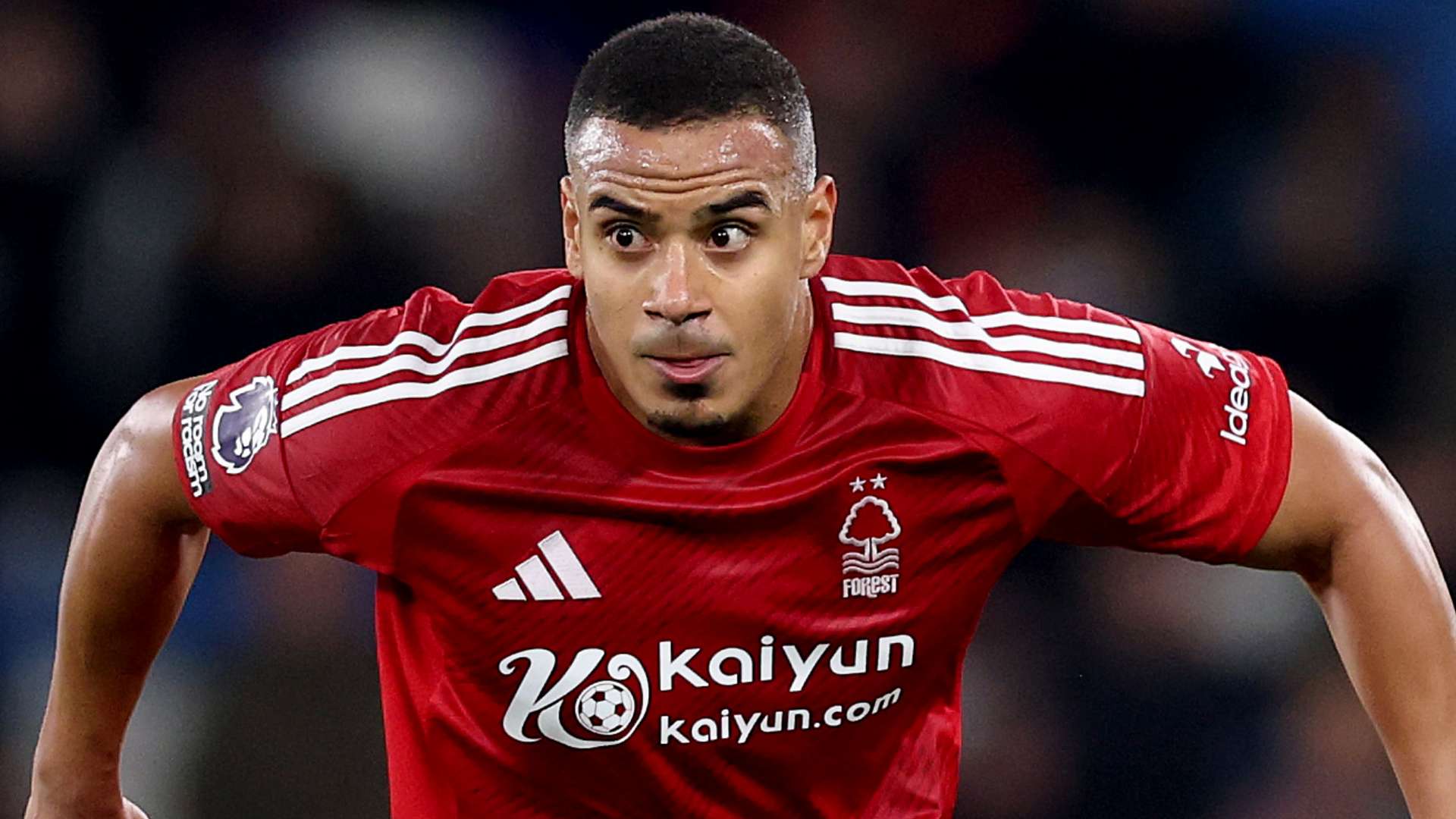 每一枚奖牌 每一枚奖牌